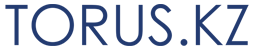 TORUS.KZ